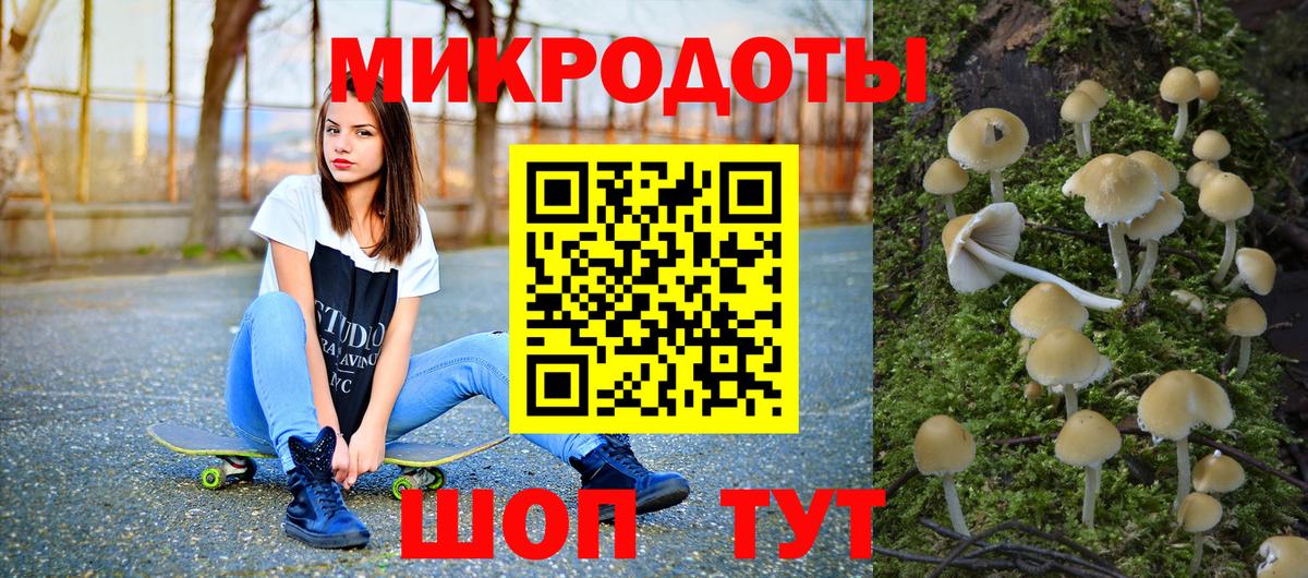 Псилоцибиновые грибы мицелий Саянск