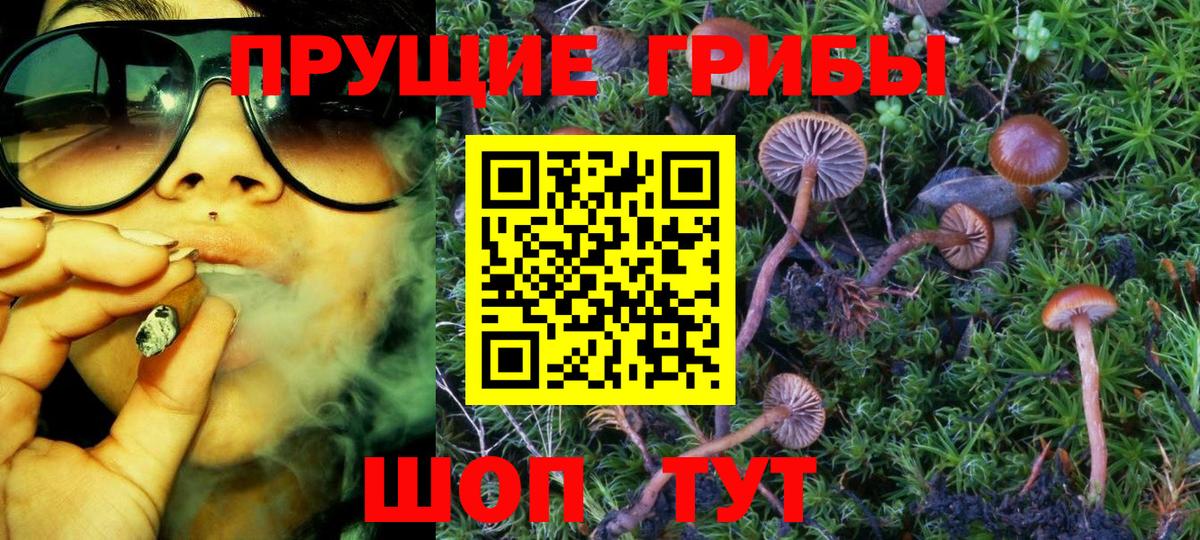Псилоцибиновые грибы MAGIC MUSHROOMS  Вход с VPN  что такое наркотик  Саянск  Галлюциногенные грибы мицелий 
